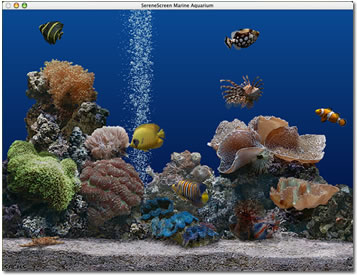 SereneScreen Marine Aquarium 3.0